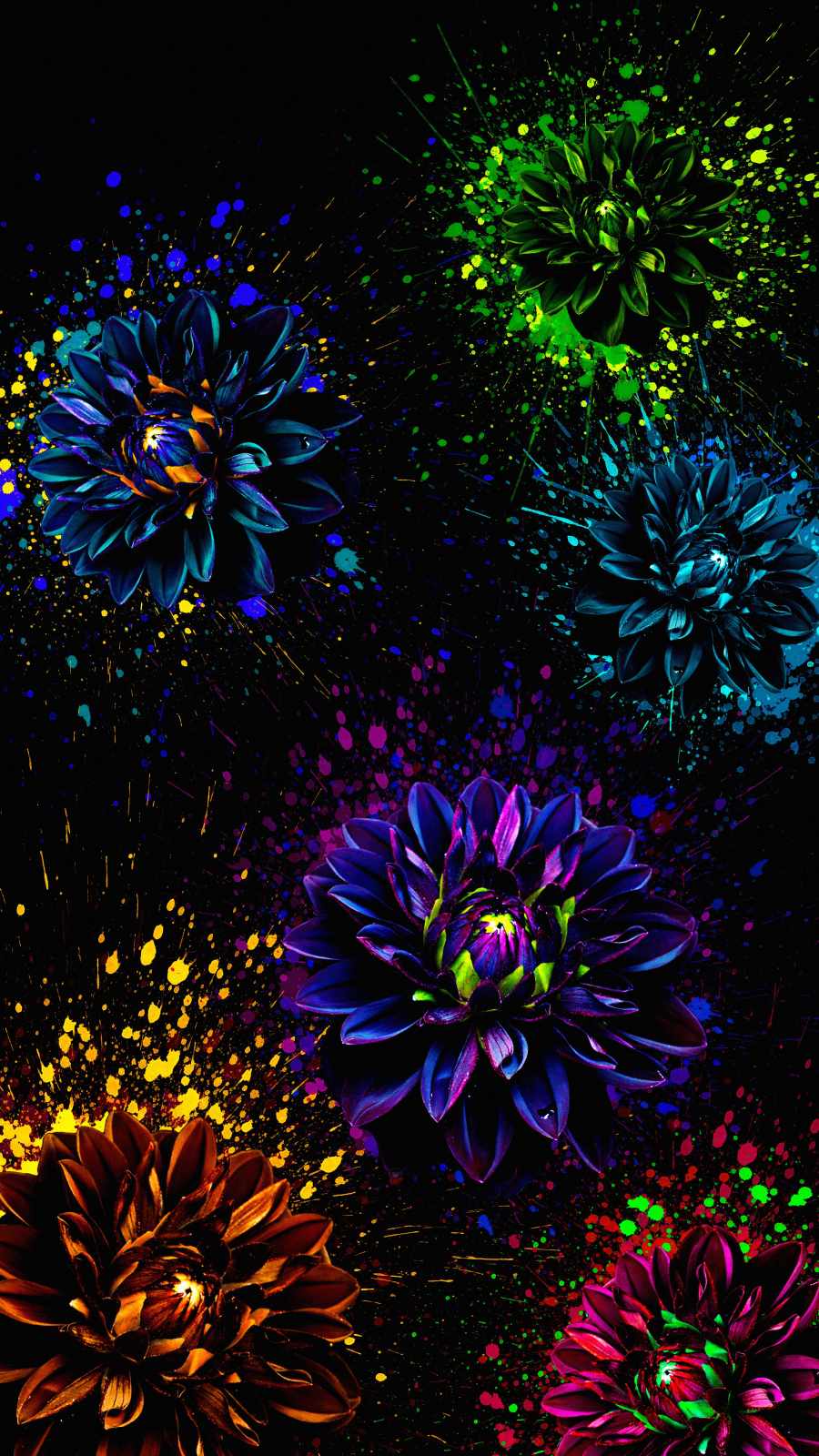 Amoled Flowers iPhone Wallpaper HD