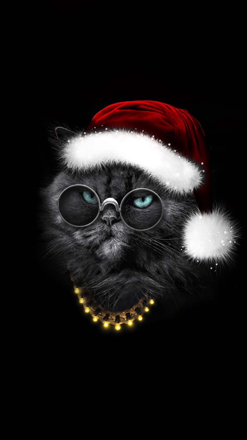 Christmas Cat iPhone Wallpaper HD