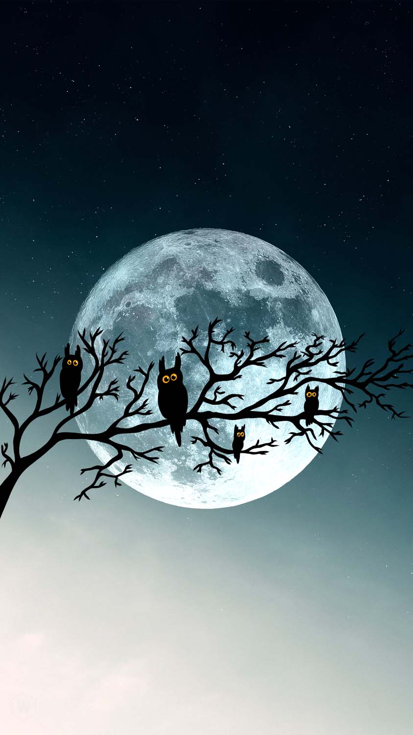 Halloween Moon and Owls iPhone Wallpaper HD