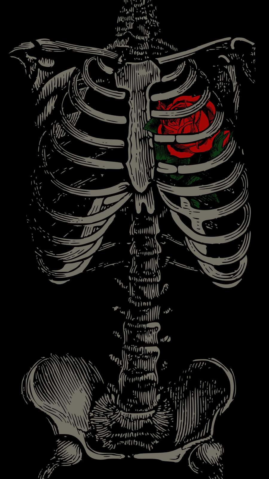 Heart Skeleton iPhone Wallpaper