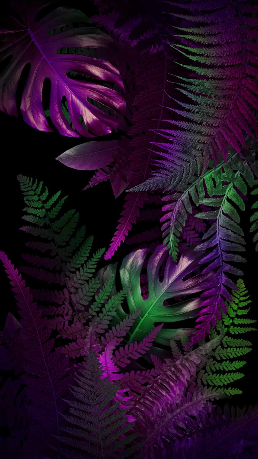 Nature HD iPhone Wallpaper