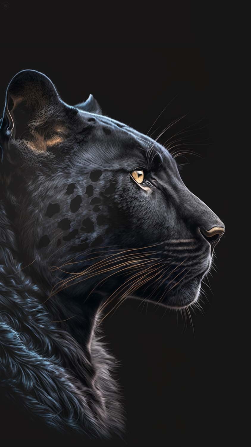 Black Jaguar Predator iPhone Wallpaper HD