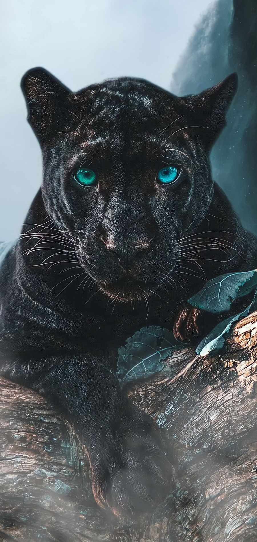 Black Panther Predator iPhone Wallpaper