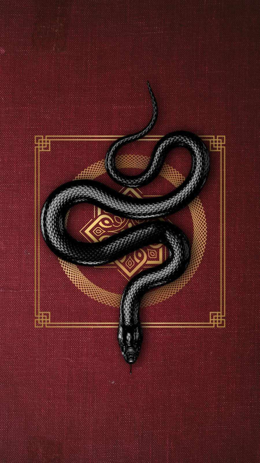 Black Snake 4K iPhone Wallpaper