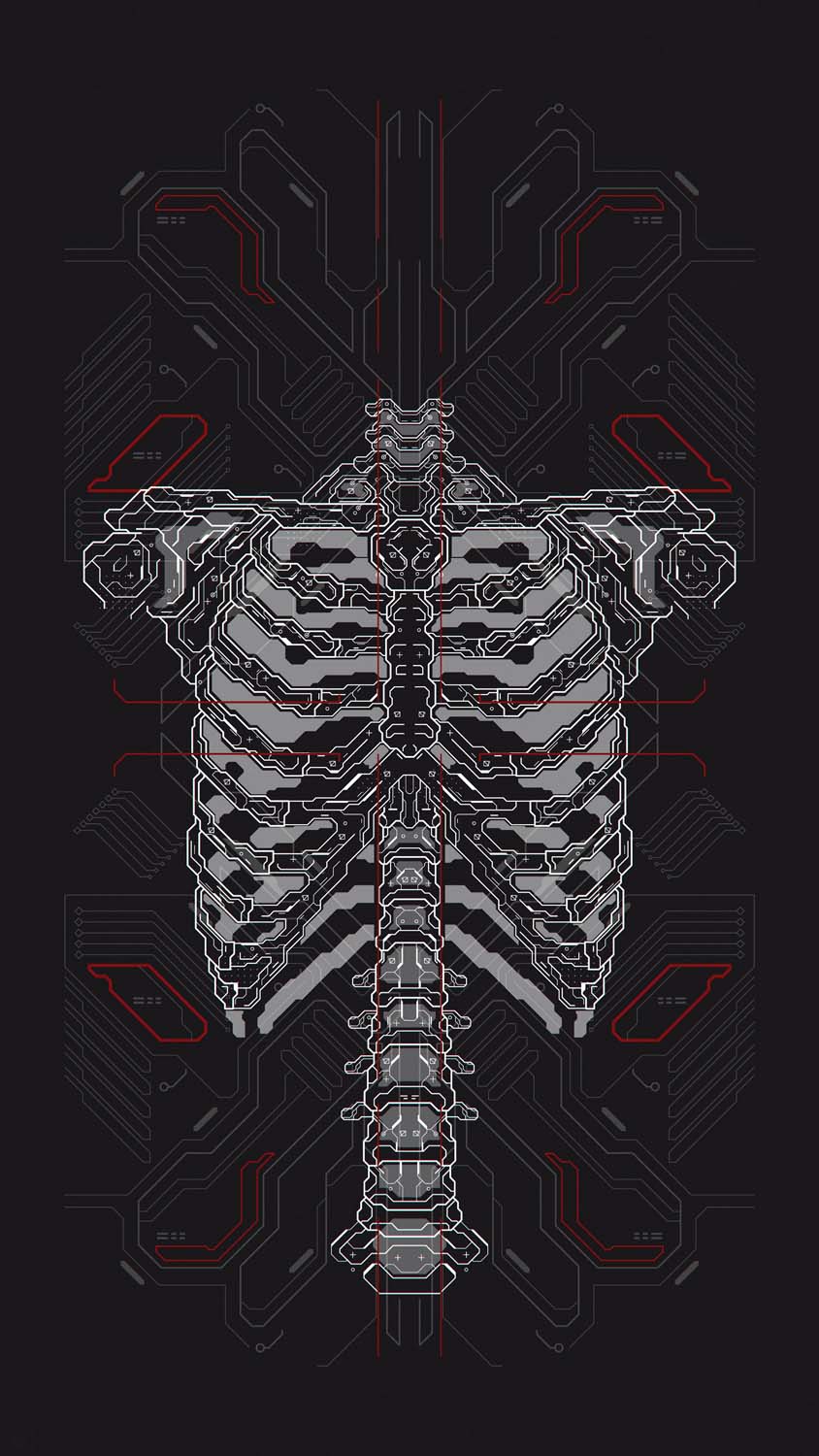 Cyber Skeleton