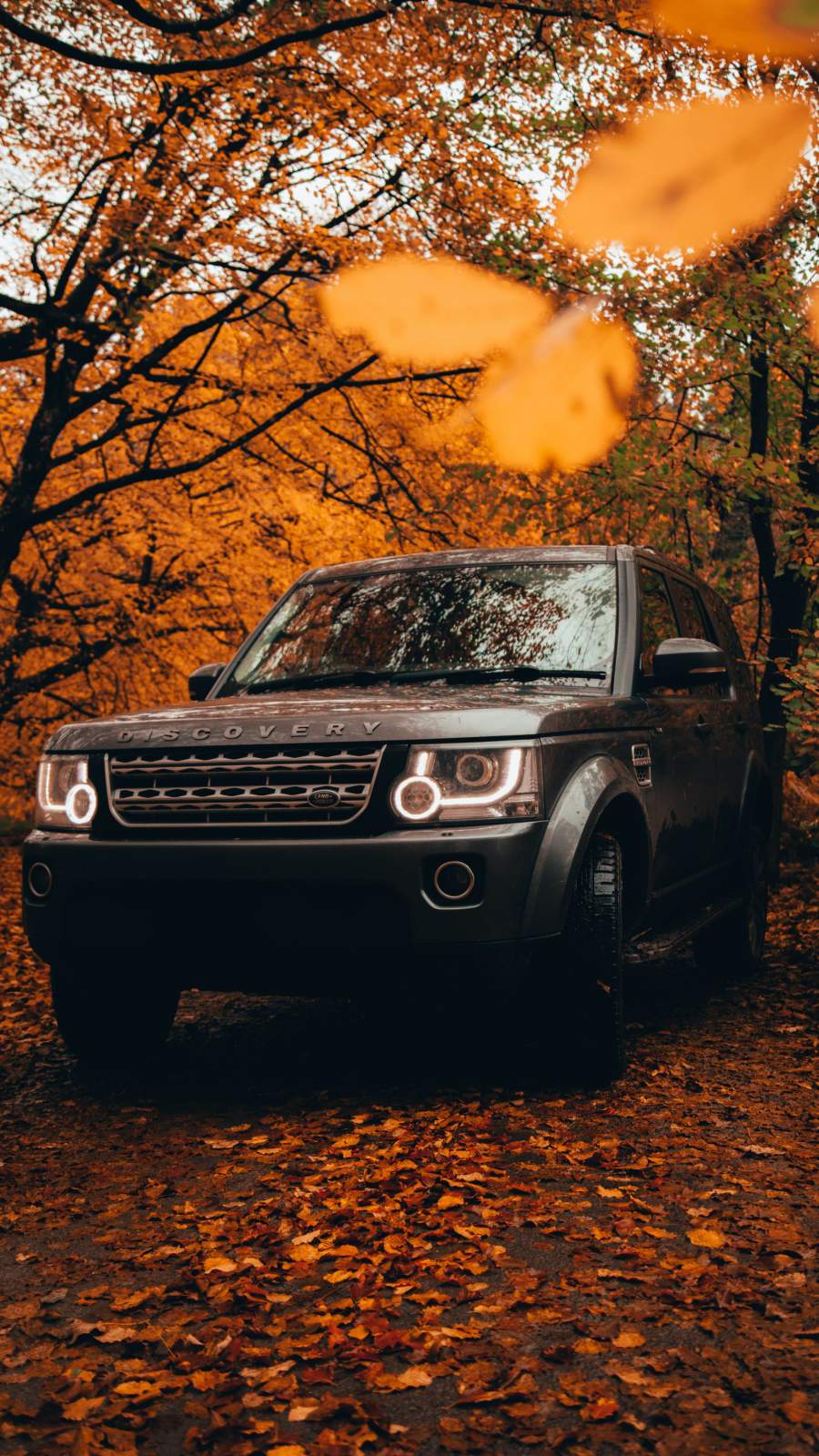 Land Rover Discovery Autumn