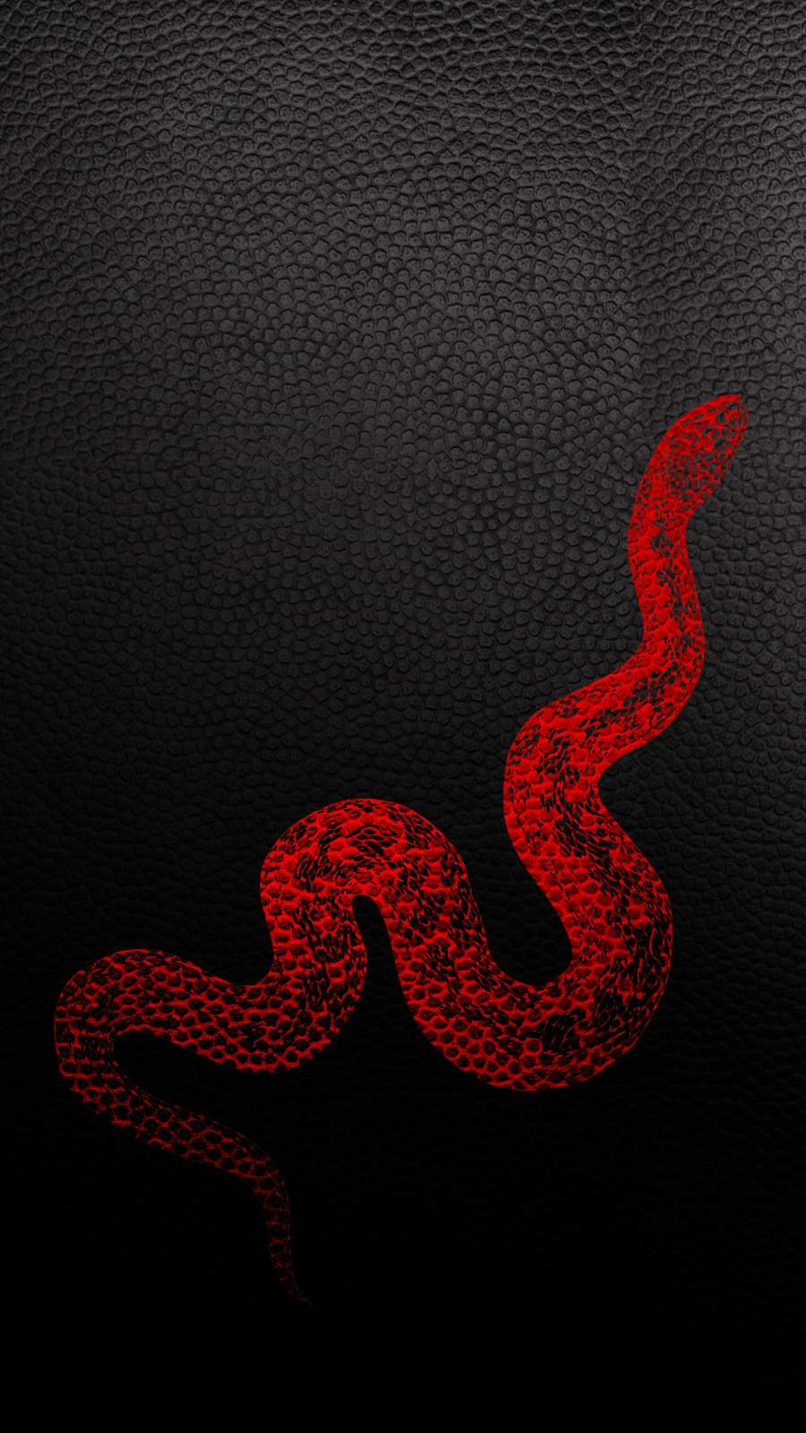 Leather Snake