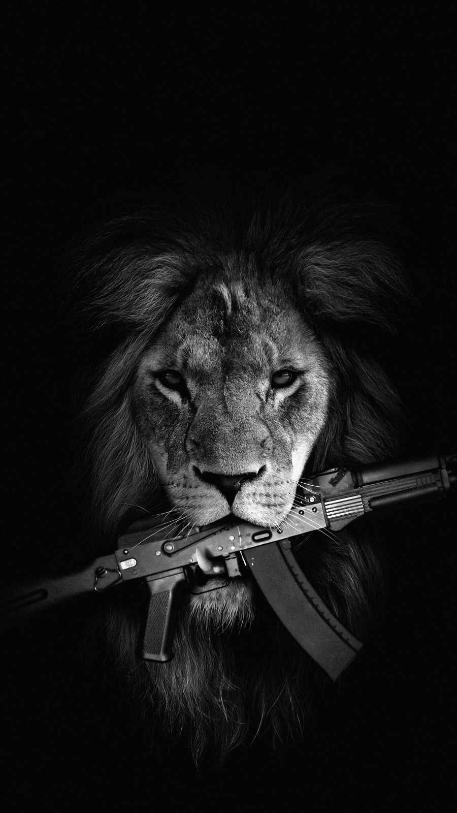 Lion with Gun