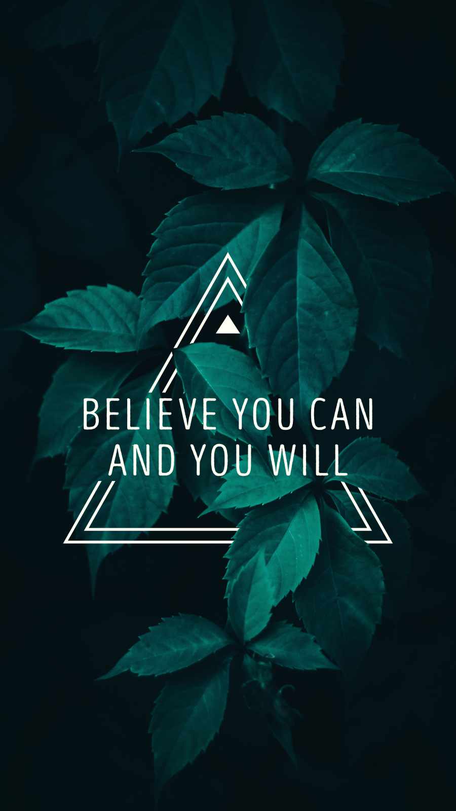 Believe You can and You Will