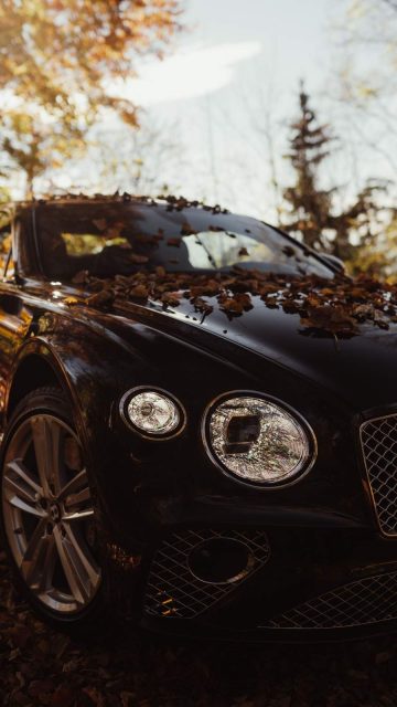 Bentley Car HD