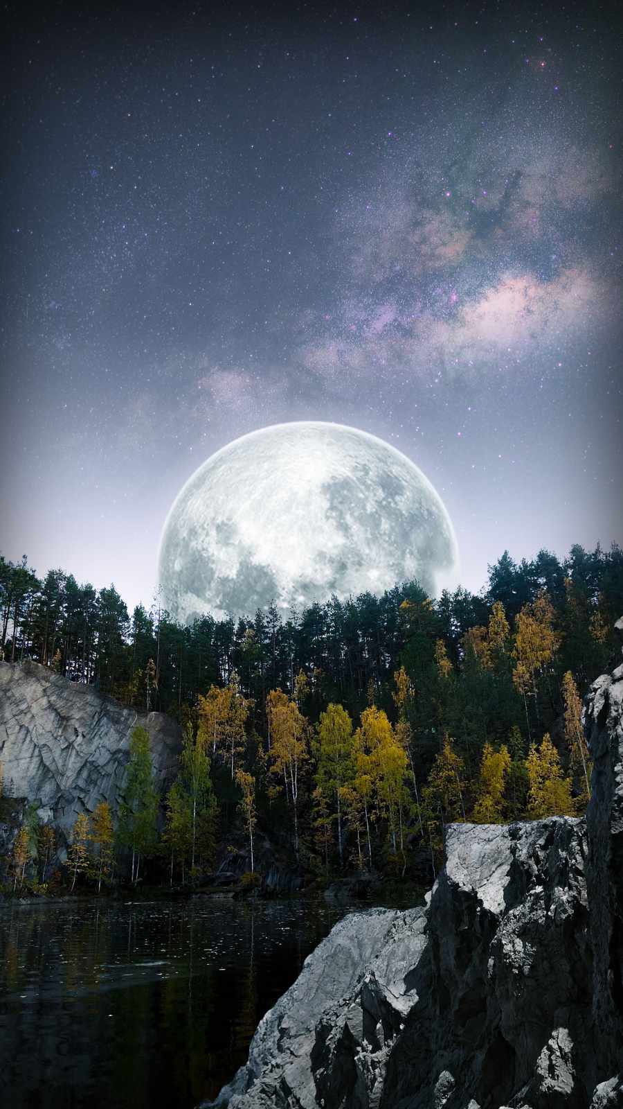 Big Moon Forest