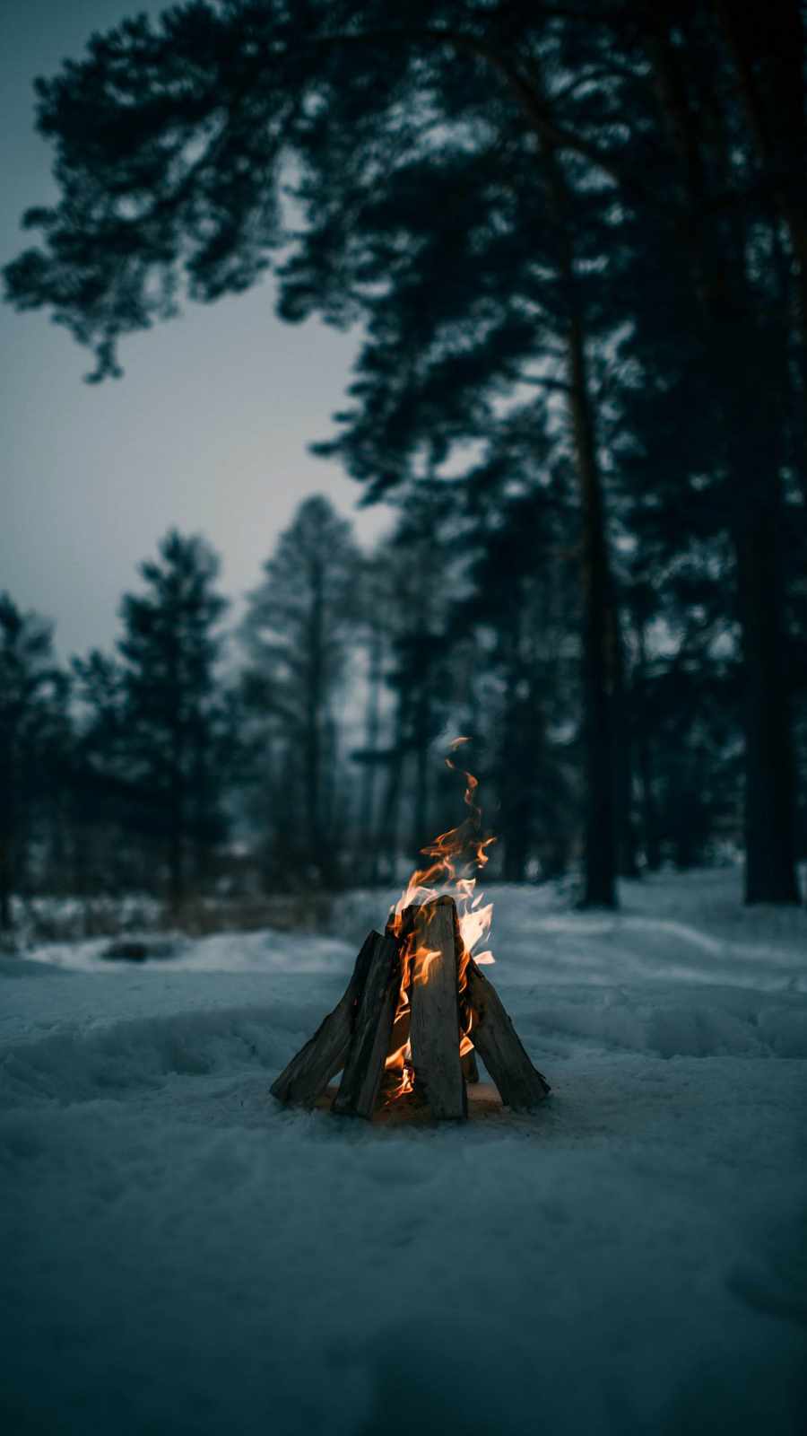 Camp Fire in Snow Wallpaper