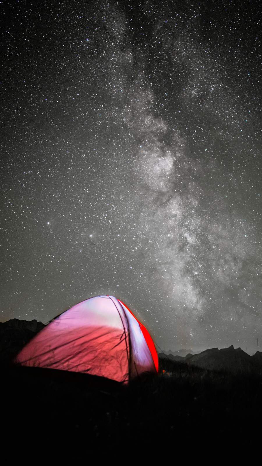 Camping Night Wallpaper