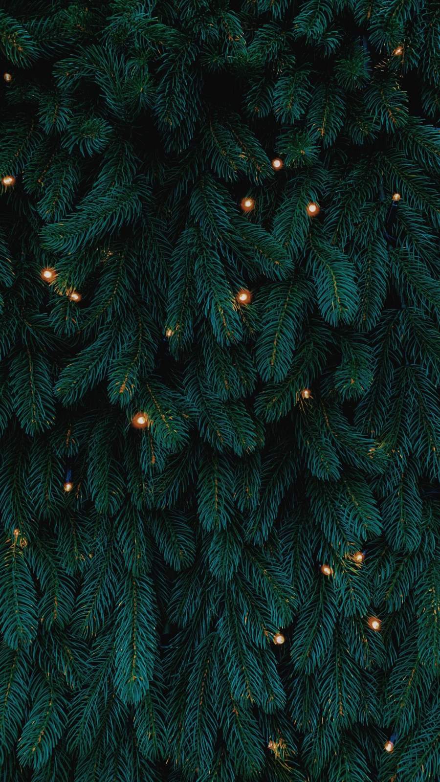 Christmas Tree BackgroundWallpaper