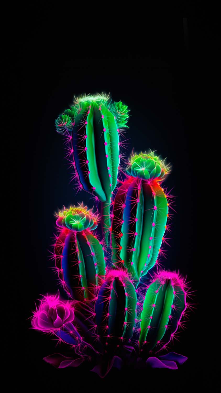 Cactus Plant OLED iPhone Wallpaper 4K