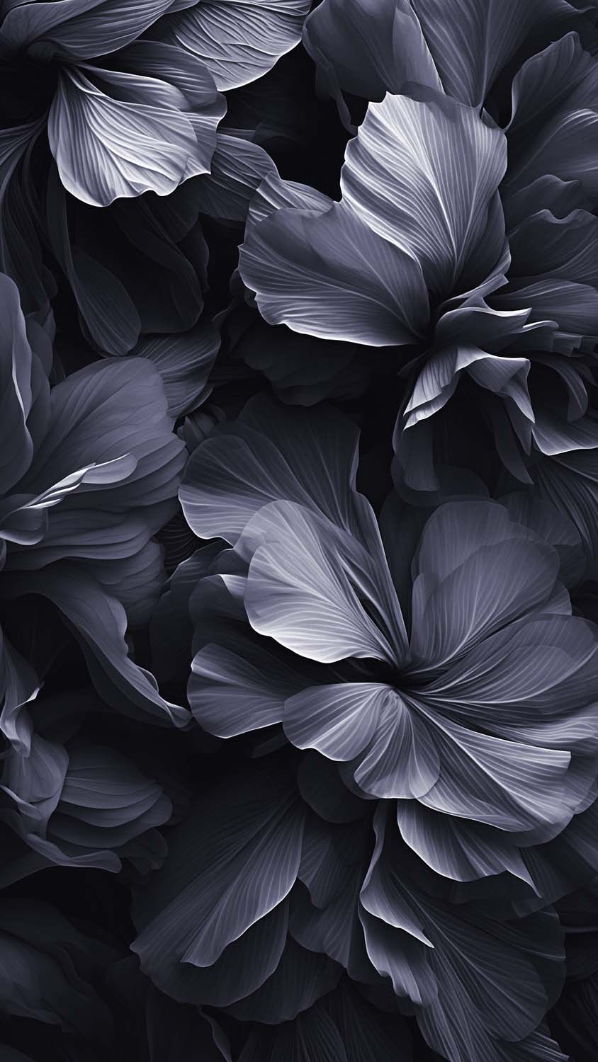 iOS Flower Design iPhone Wallpaper