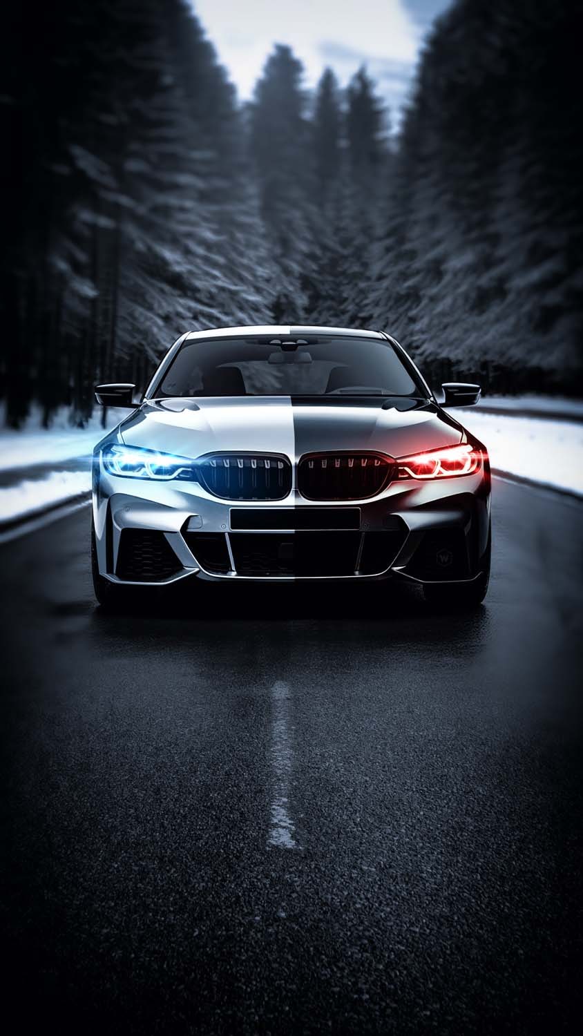 BMW Silver Black