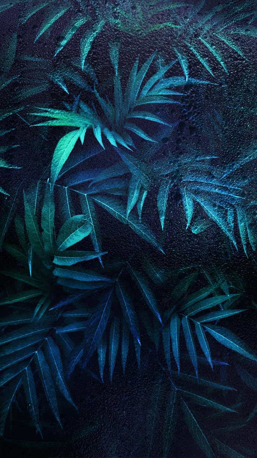 Dark Foliage iPhone Wallpaper 4K