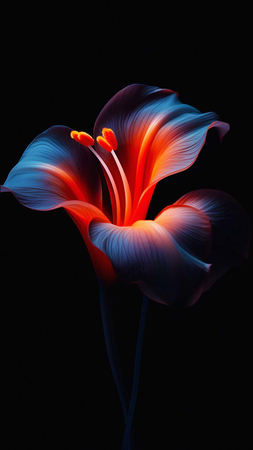 OLED Dark Flower iPhone Wallpaper 4K