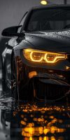 Black Car BMW Light