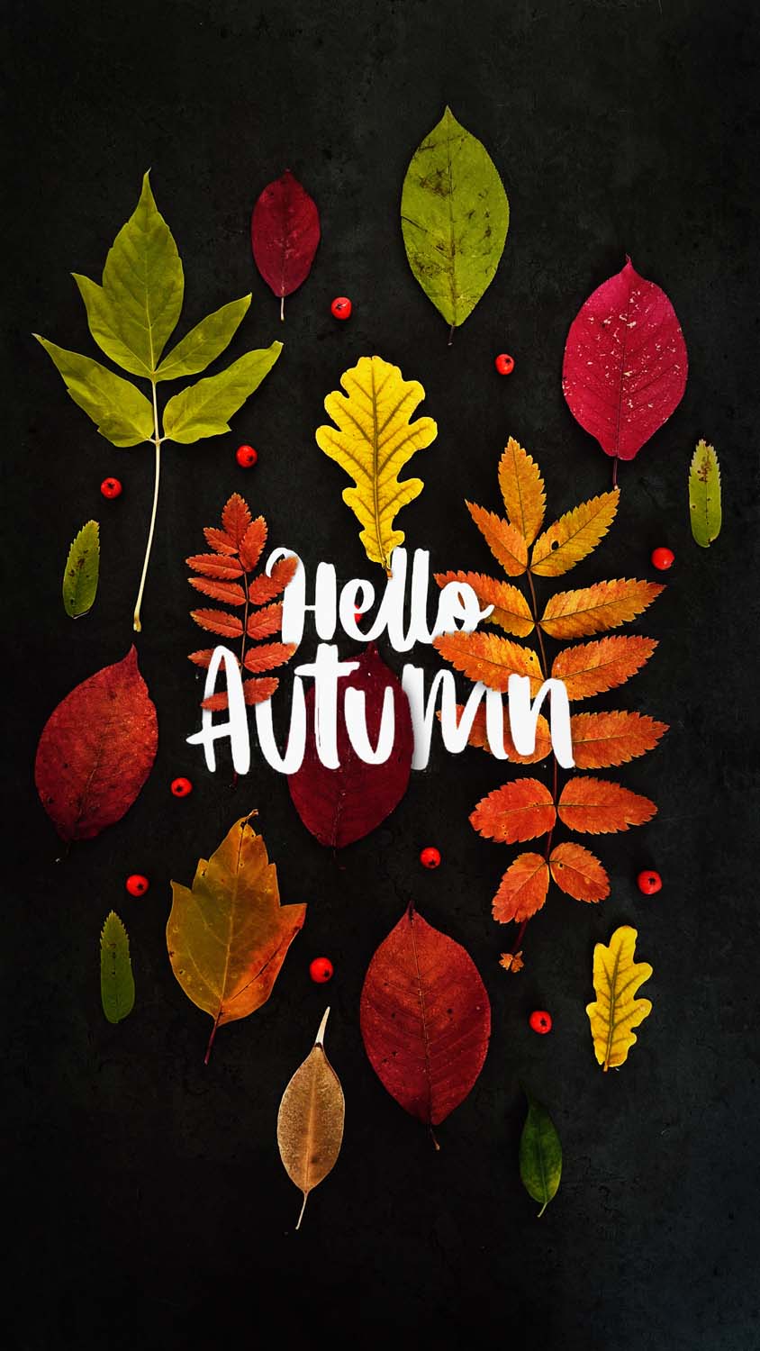 Hello Autumn Cool Wallpapers