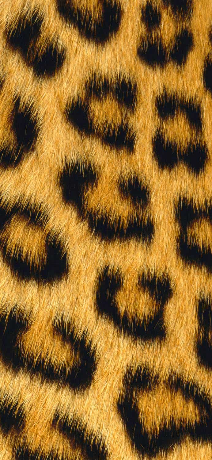 Jaguar iPhone Wallpaper